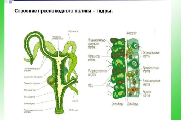 Переход на кракен