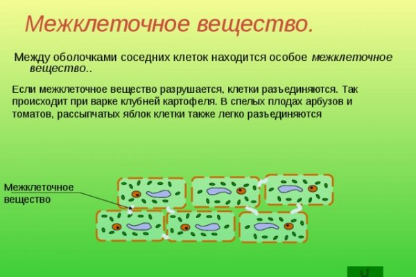 Что можно купить в кракене